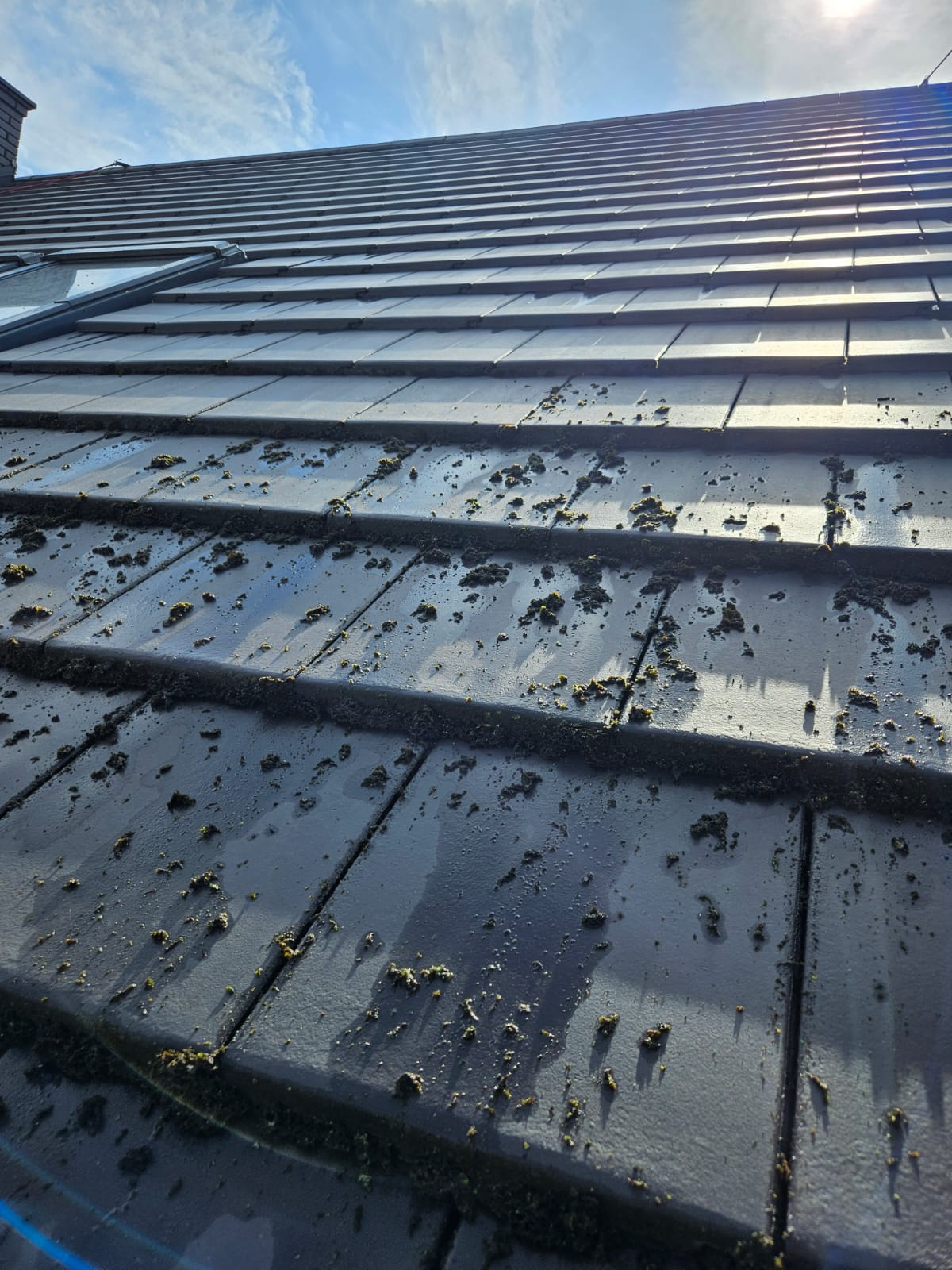 czyszczenie-dachow-15